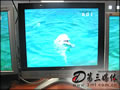 ADIS710P显示器