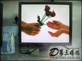 DELL1704FPT显示器