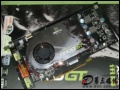 Ѷ���Կ�: ��Ϸ��ҳ����Ӿ����� Ѷ��8800GT�Կ�