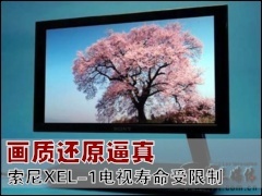 �������: ���ʻ�ԭ���� ����XEL-1��������������