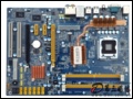 ��������: ������־P43T������½ Intelϵ�����ͽ�